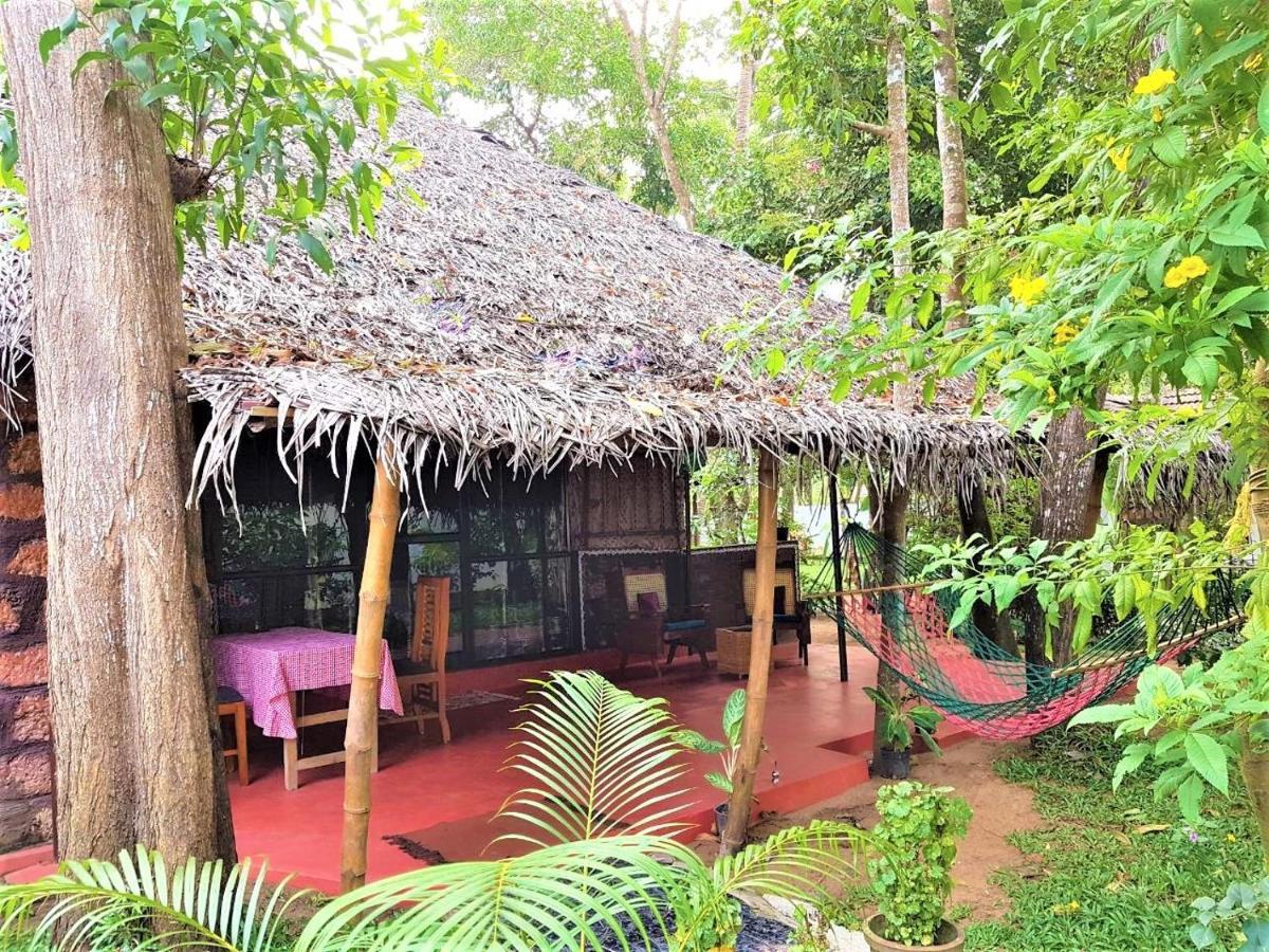 Marari Dreamz Homestay Марарикулам Екстериор снимка